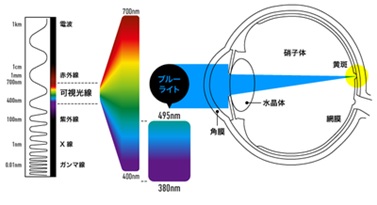 ブルーライトって?