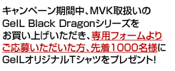 2008年5月29日?6月30日までの間、aiuto取扱いのBlack Dragonシリーズをお買い上げいただき、専用フォームよりご応募いただいた方、先着１０００名様にGeILオリジナルTシャツをプレゼント！