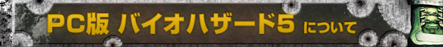 PC版 バイオハザード5について