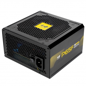 P65F