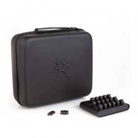 Perception Neuron 3 Body（終息品）